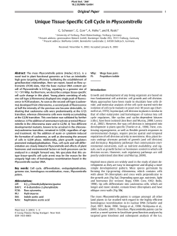 Unique Tissue-Specific Cell Cycle in Physcomitrella