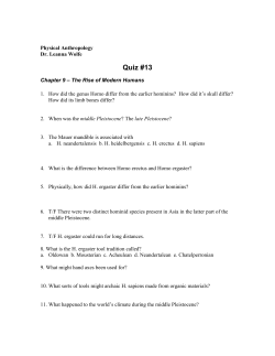 Quiz #13 - Dr. Leanna Wolfe