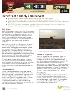 Benefits of a Timely Corn Harvest