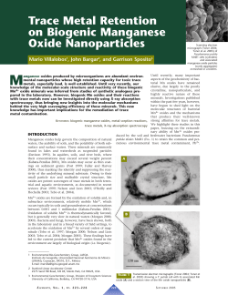 Trace Metal Retention on Biogenic Manganese Oxide Nanoparticles