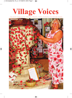 November - Village Voices