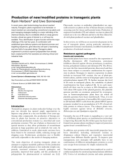 Production of new/modified proteins in transgenic plants Karin