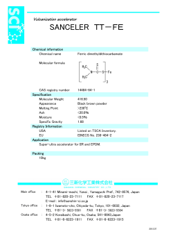 SANCELER ＴＴ－ＦＥ