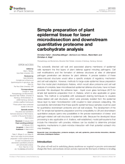 Simple preparation of plant epidermal tissue for laser