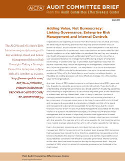 Adding Value, Not Bureaucracy: Linking Governance
