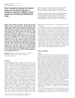 Fiber Connections between the Cerebral Cortex
