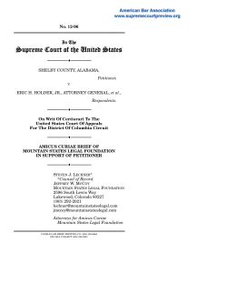 Brief for Mountain States Legal Foundation in Support of Petitioner