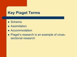 Key Piaget Terms