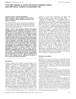 Local DNA damage by proton microbeam