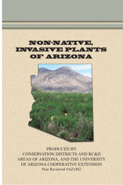 NON-NATIVE, INVASIVE PLANTS OF ARIZONA