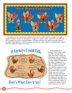 If Turkeys Could Talk