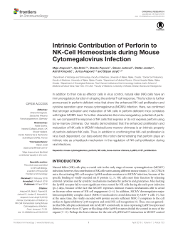 Intrinsic Contribution of Perforin to NK