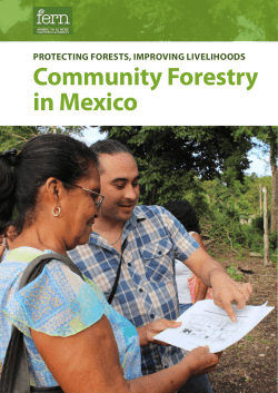 community forestry in mexico