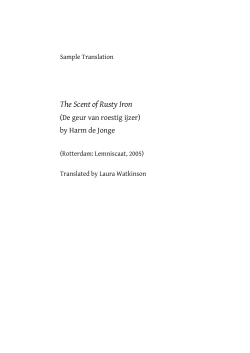 English (PDF document)