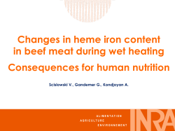 Changes in heme iron content in beef meat during wet heating