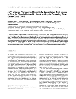 Hd1, a Major Photoperiod Sensitivity Quantitative Trait