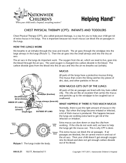 (cpt): infants and toddlers - Kiddie West Pediatric Center