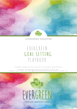 goal setting playbook