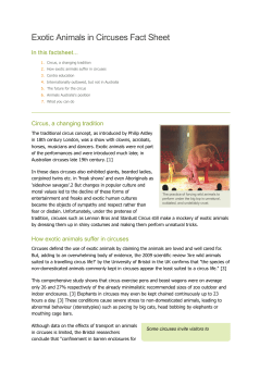 Exotic Animals in Circuses Fact Sheet // Animals Australia