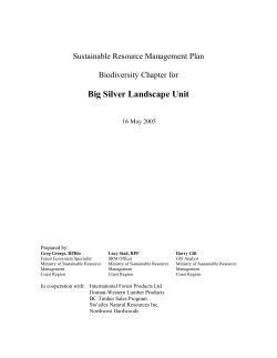 Big Silver LU - Report (May 16, 2005)