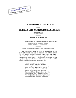 SB077 1898 Some Insects Injurious to the Orchard