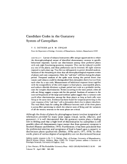 Candidate Codes in the Gustatory System of