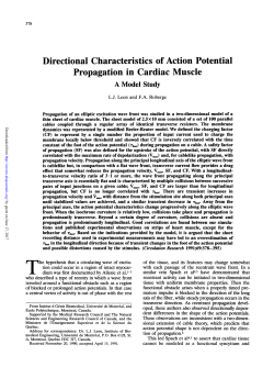Directional Characteristics of Action Potential Propagation in