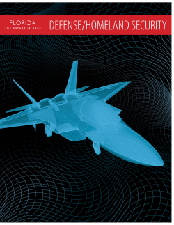 defense/homeland security