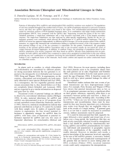 Association between chloroplast and mitochondrial lineages in oaks.