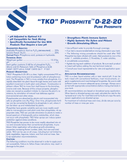 "TKO" Phosphite 0-22-20