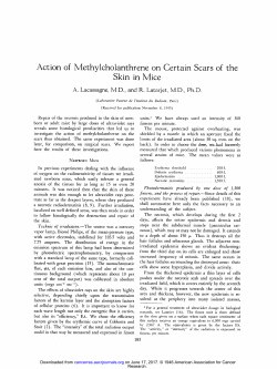 Action of Methylcholanthrene on Certain Scars of