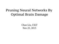 Pruning Neural Networks By Optimal Brain Damage