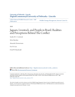 Jaguars, Livestock, and People in Brazil