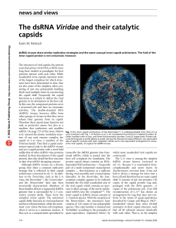 The dsRNA Viridae and their catalytic capsids