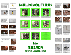 Installing Mosquito Traps in the Tree Canopy
