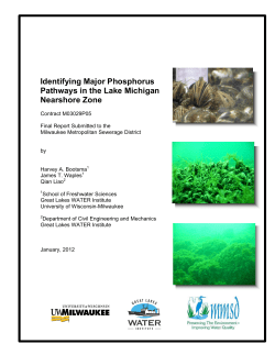 Identifying Major Phosphorus Pathways in the Lake