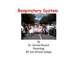 Respiratory System