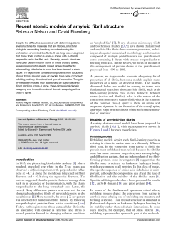 Nelson, Recent atomic models of amyloid fibril structure Current