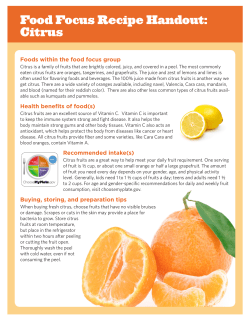 Citrus Handout and Recipe