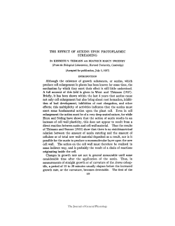 THE EFFECT OF AUXINS UPON PROTOPLASMIC