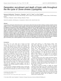 Generation recruitment and death of brain cells - BIOL