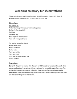 Conditions necessary for photosynthesis
