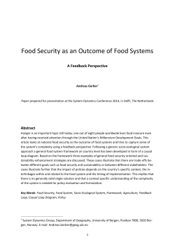 Paper - System Dynamics Society