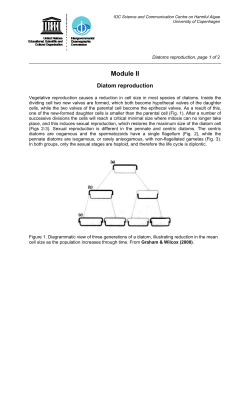 Module II - OceanTeacher