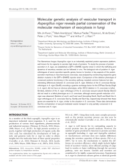 Molecular genetic analysis of vesicular transport in
