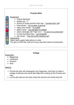Patrol Time Craft Promise Stick Equipment: &bull; tongue depressor