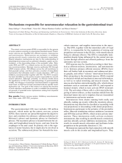 English  - Instituto de Salud Carlos III