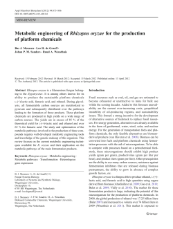 Metabolic engineering of Rhizopus oryzae for the production of