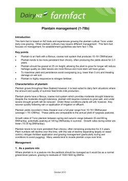 DairyNZ Plantain management