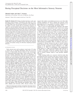 Basing Perceptual Decisions on the Most Informative Sensory